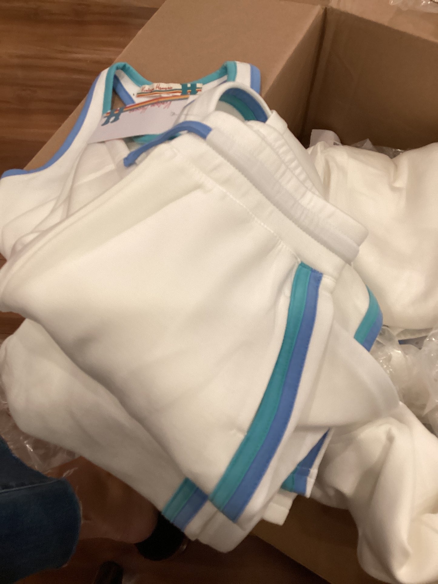 Vintage Havana Aqua/Blue stripe sweatpant