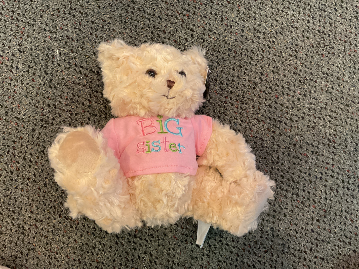 Big Sister Teddy Bear