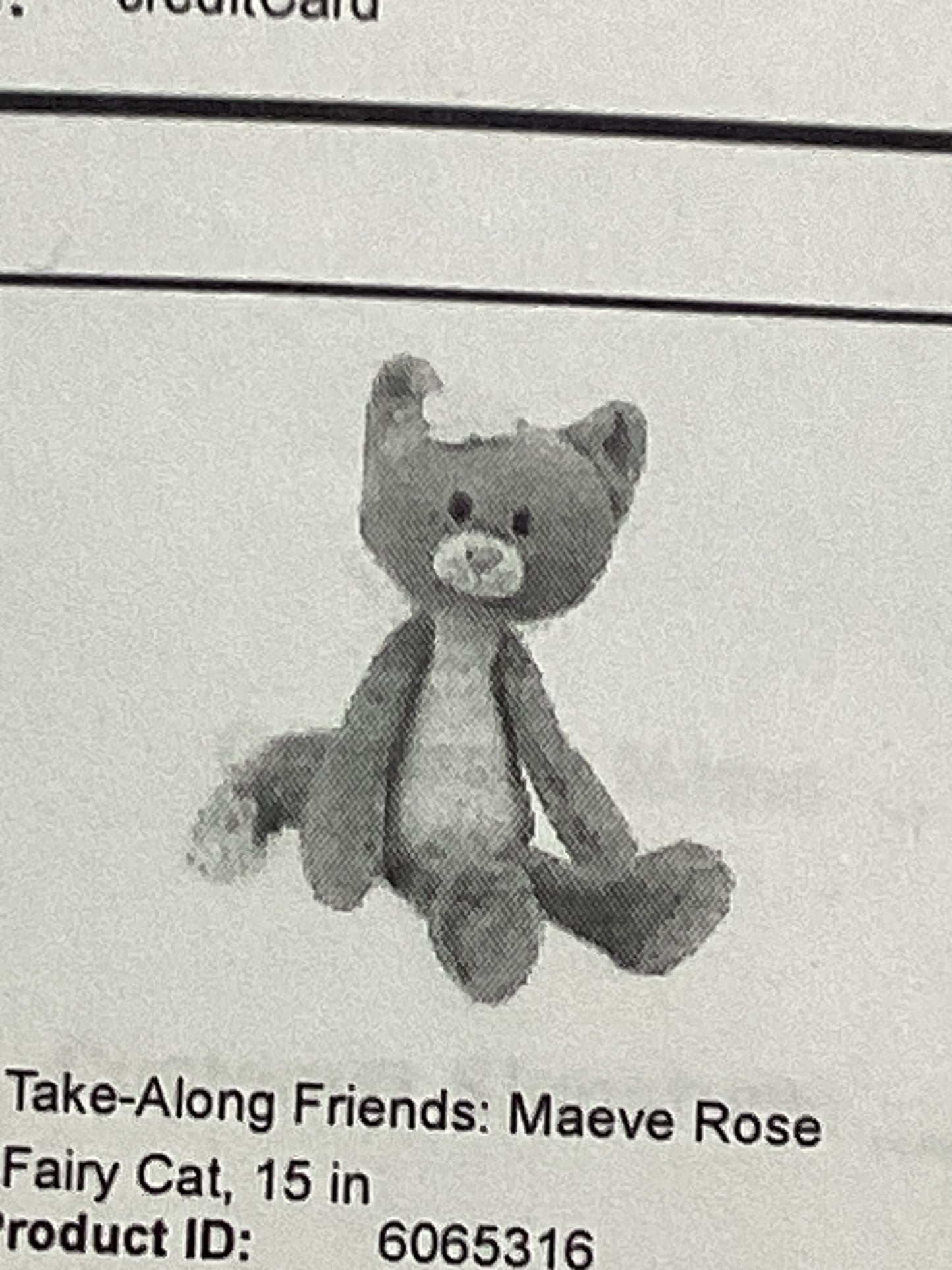 Take along friends: Maeve rose