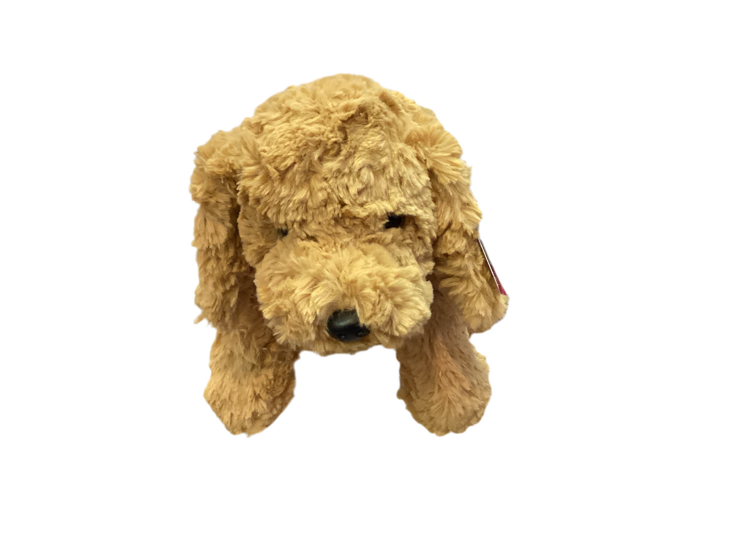 Dog “musty” Stuffed Animal