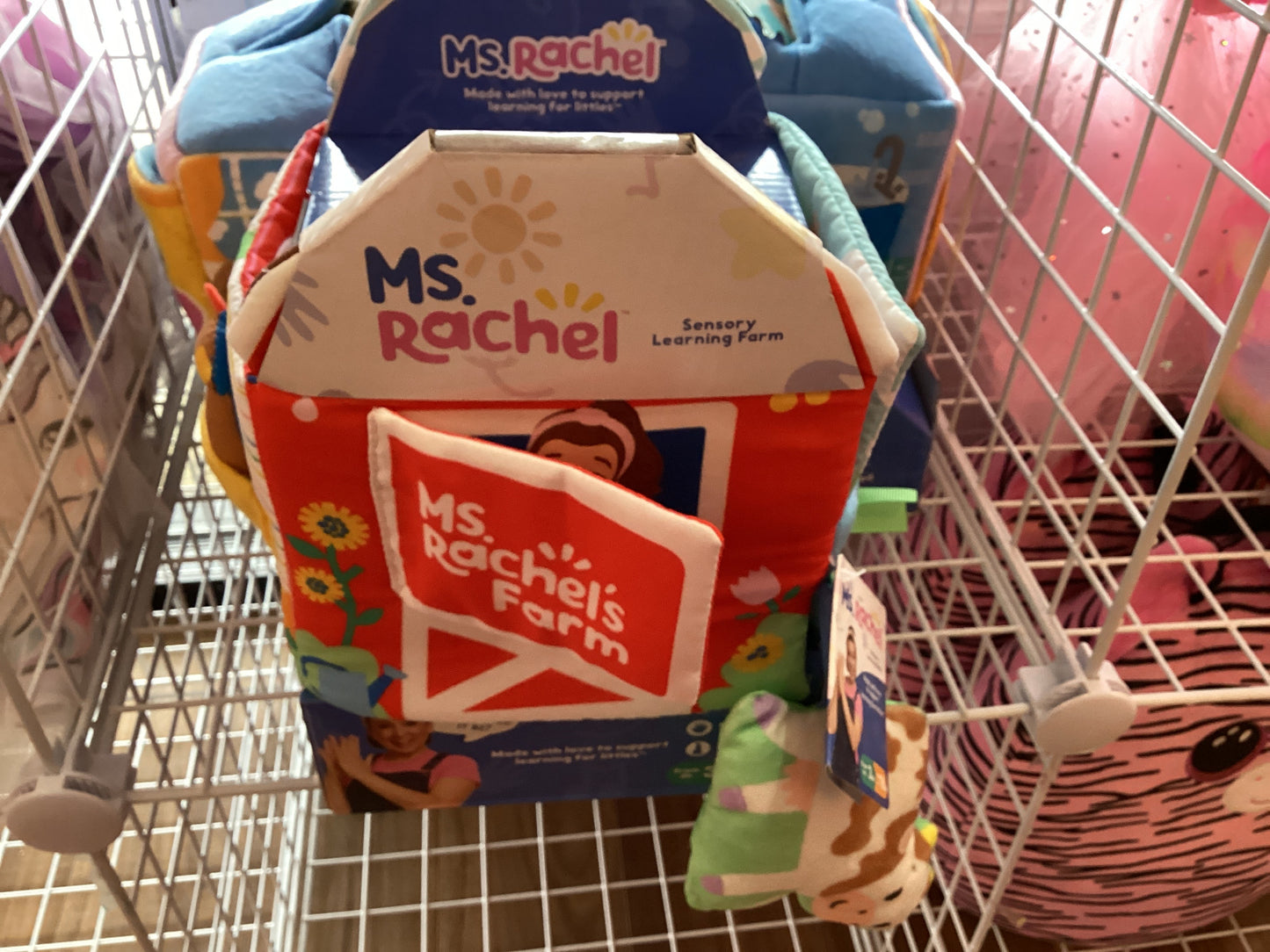 Ms Rachel learning Farm house