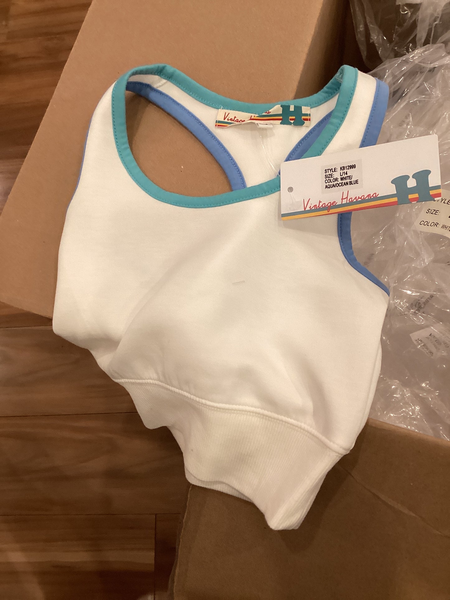 Vintage Havana Aqua/Blue stripe tank top