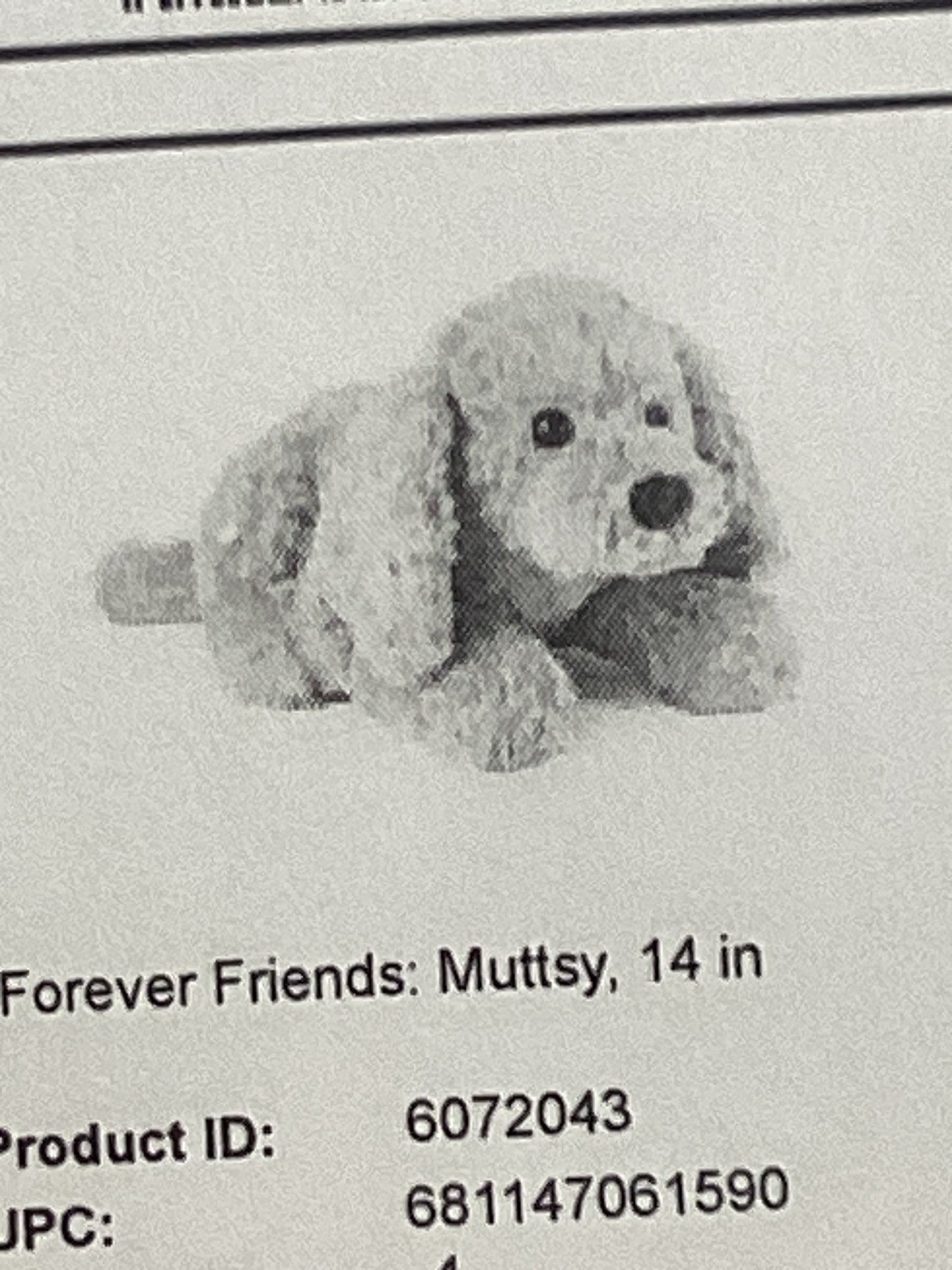 Forever friends: muttsy