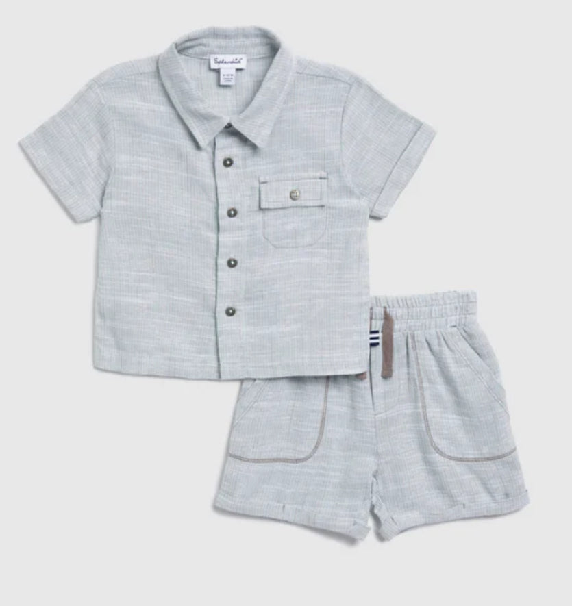 Splendid Boardwalk Button Down Light Sage Set