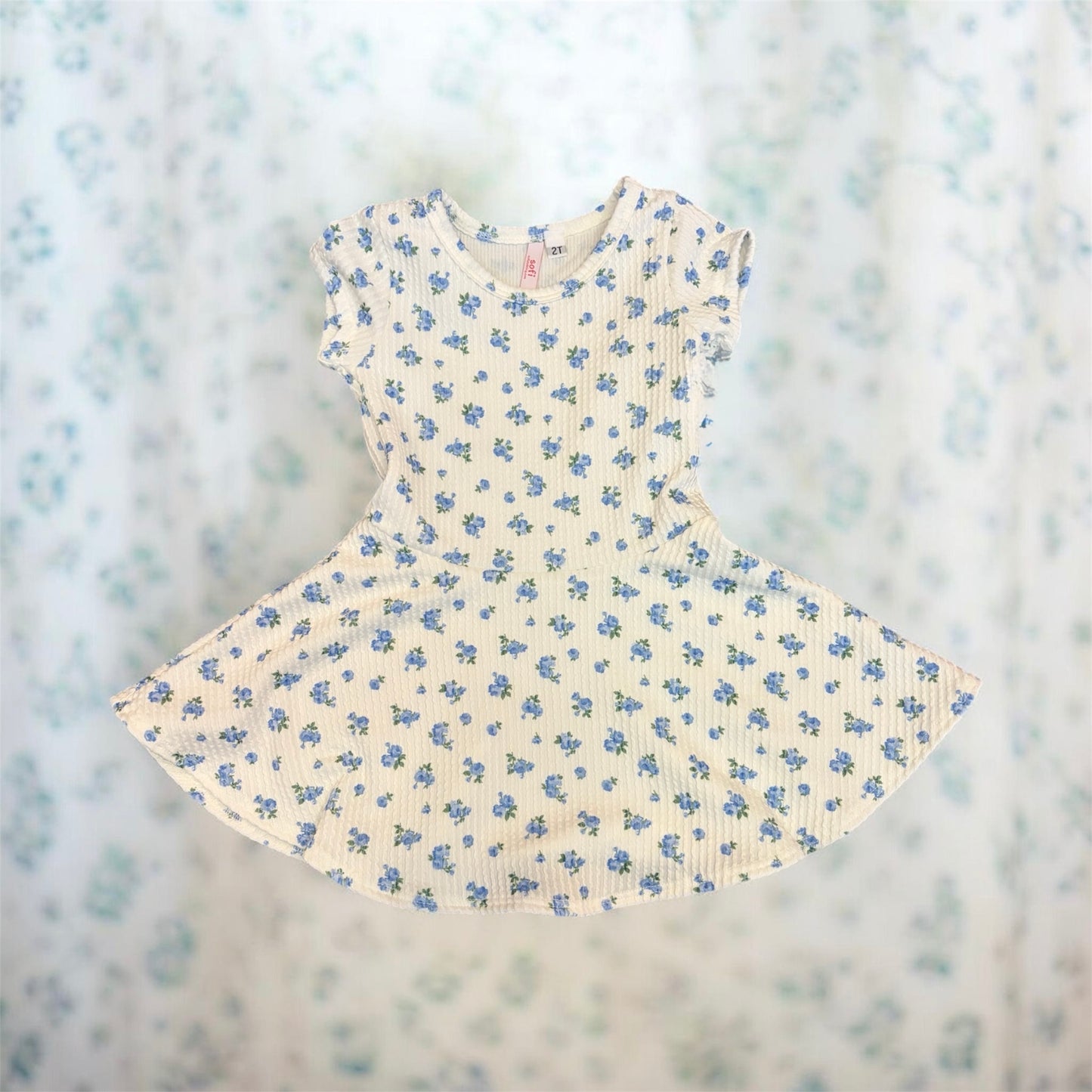 Ivory/Blue Flower Dress