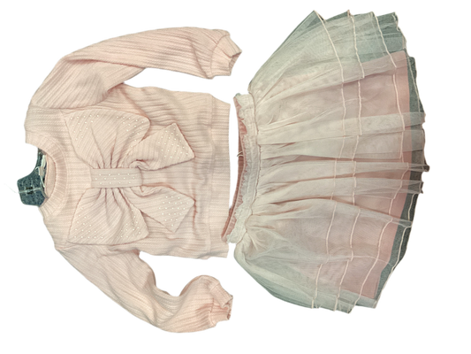 Pink Mesh tutu skirt w/sweater