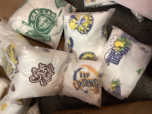 Lil Darlings Camp Blankets