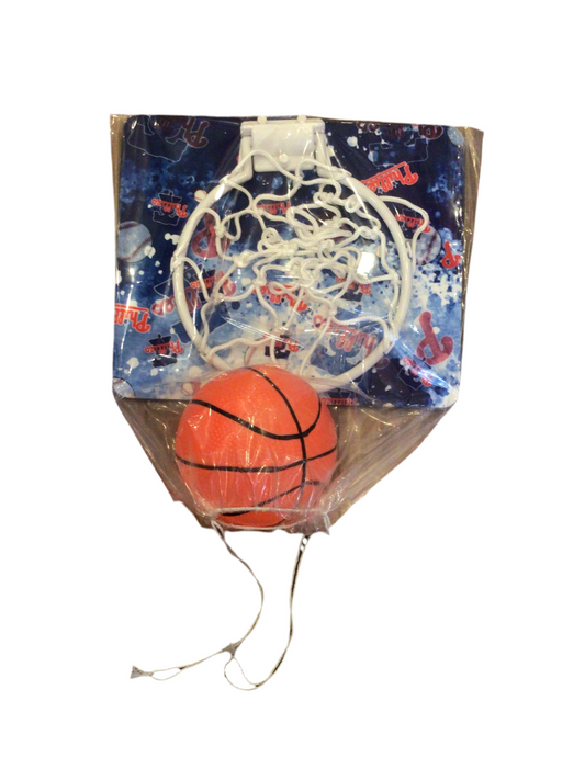 Indoor hoop and basketball