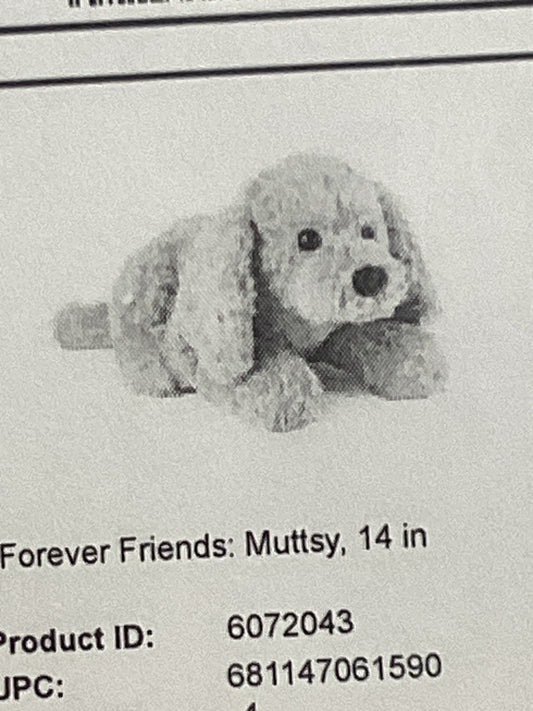 Forever friends: muttsy