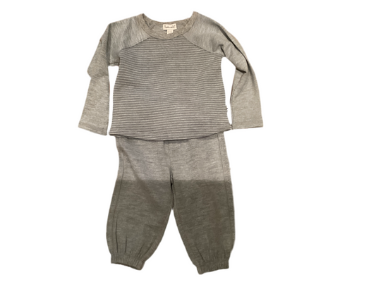 Splendid 2 pc gray velour set