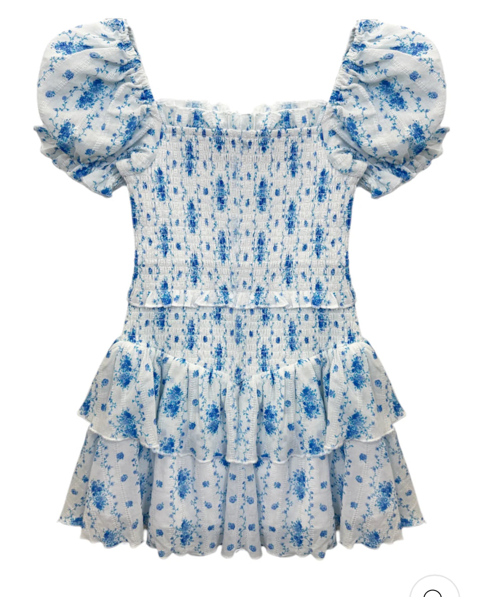 Lainey blue floral dress