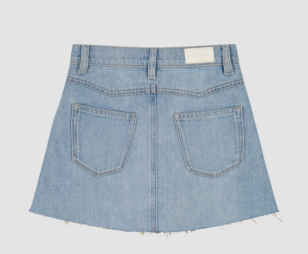 Jenny Mini Skirt