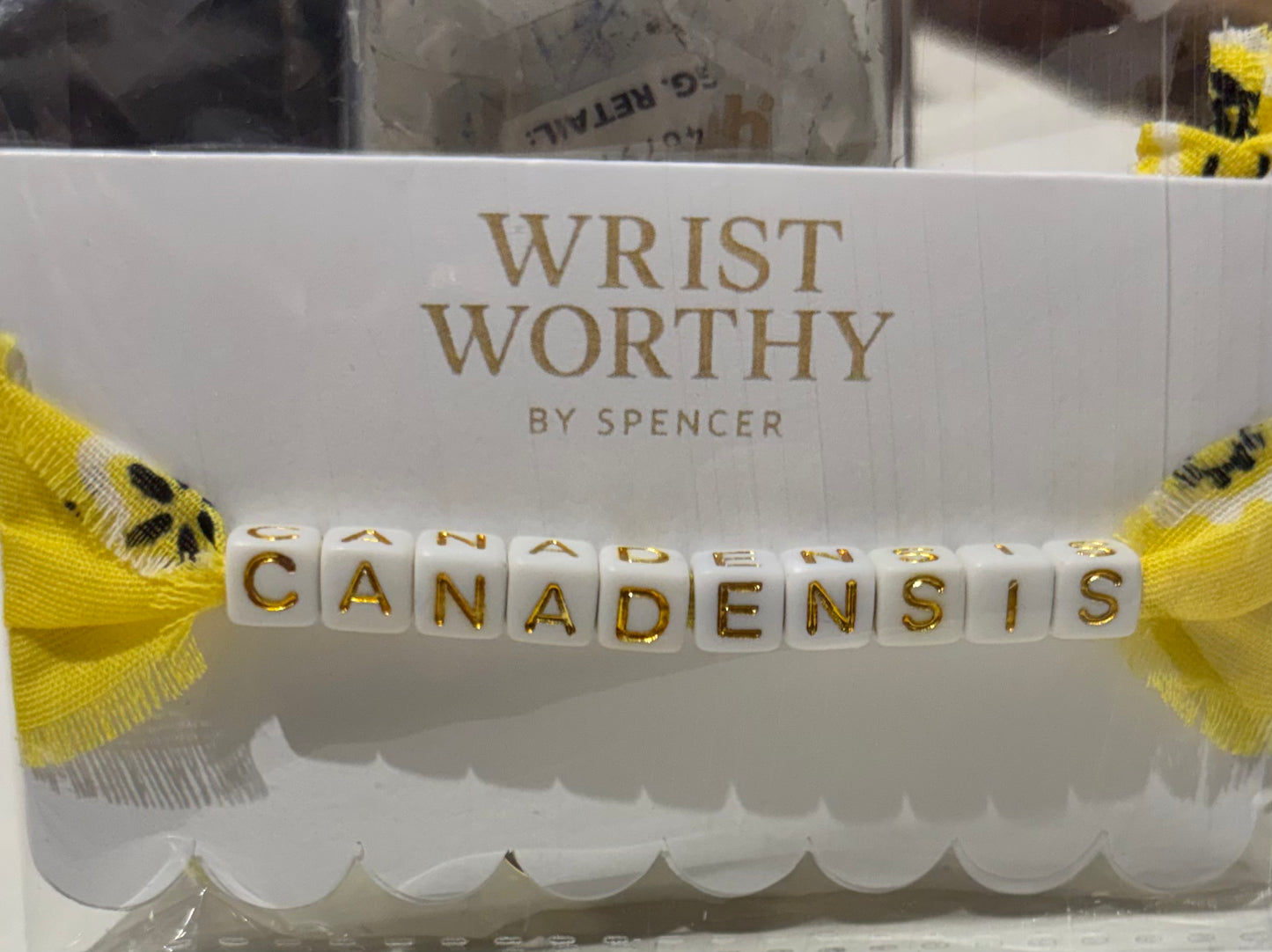 Bandana Camp Bracelet