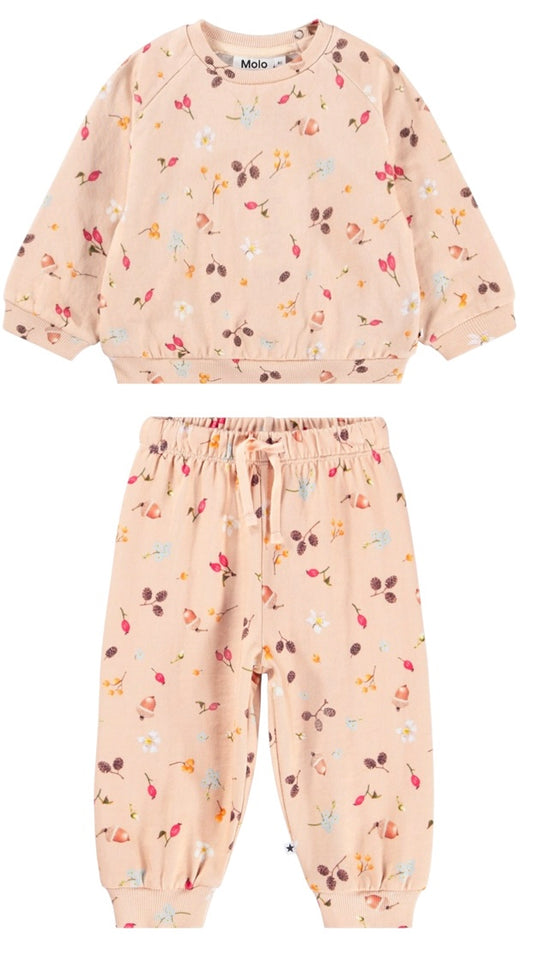 Foraging Rose Molo Set