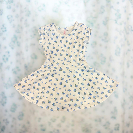 Ivory/Blue Flower Dress