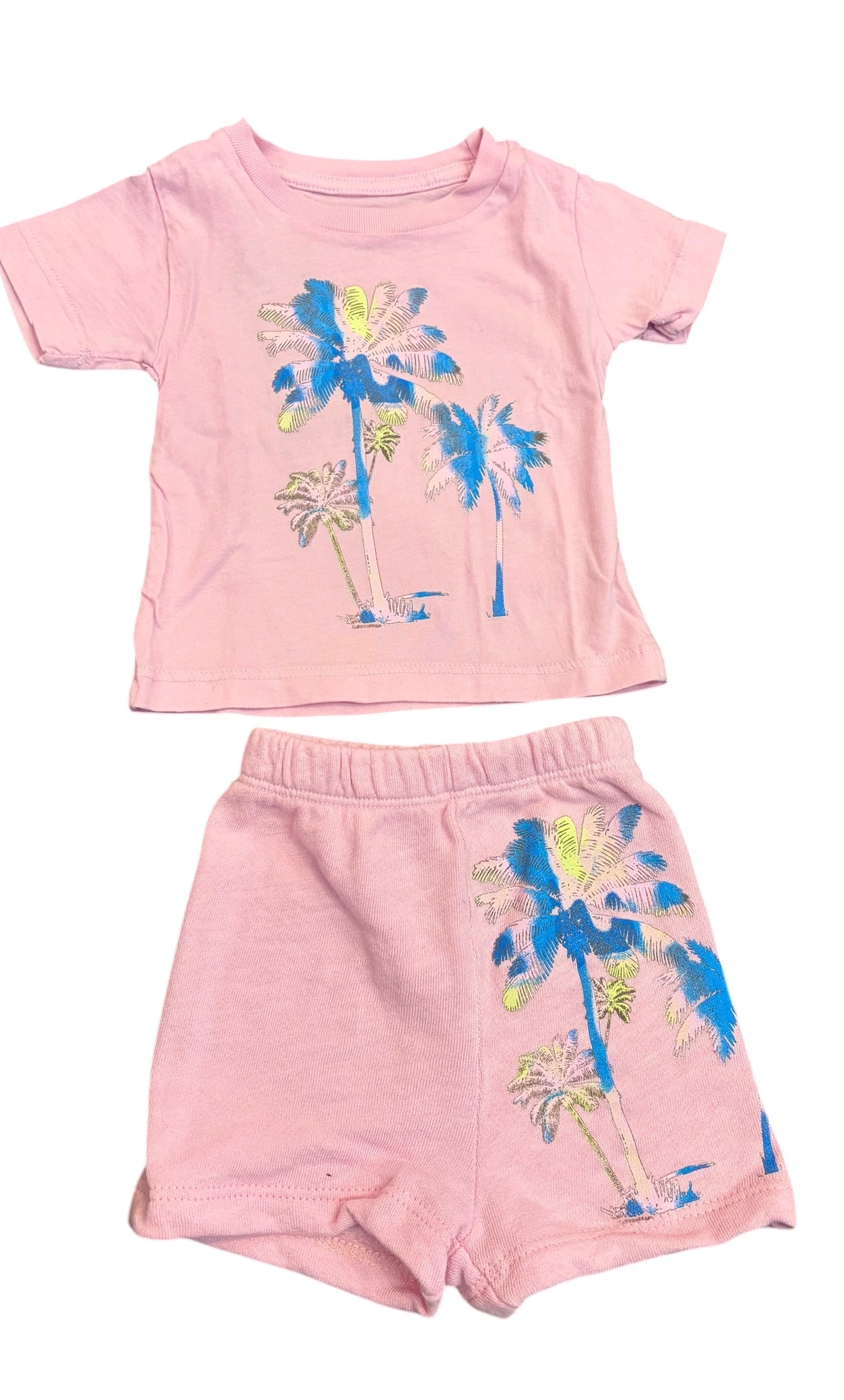 Sunset Palm Tree Set