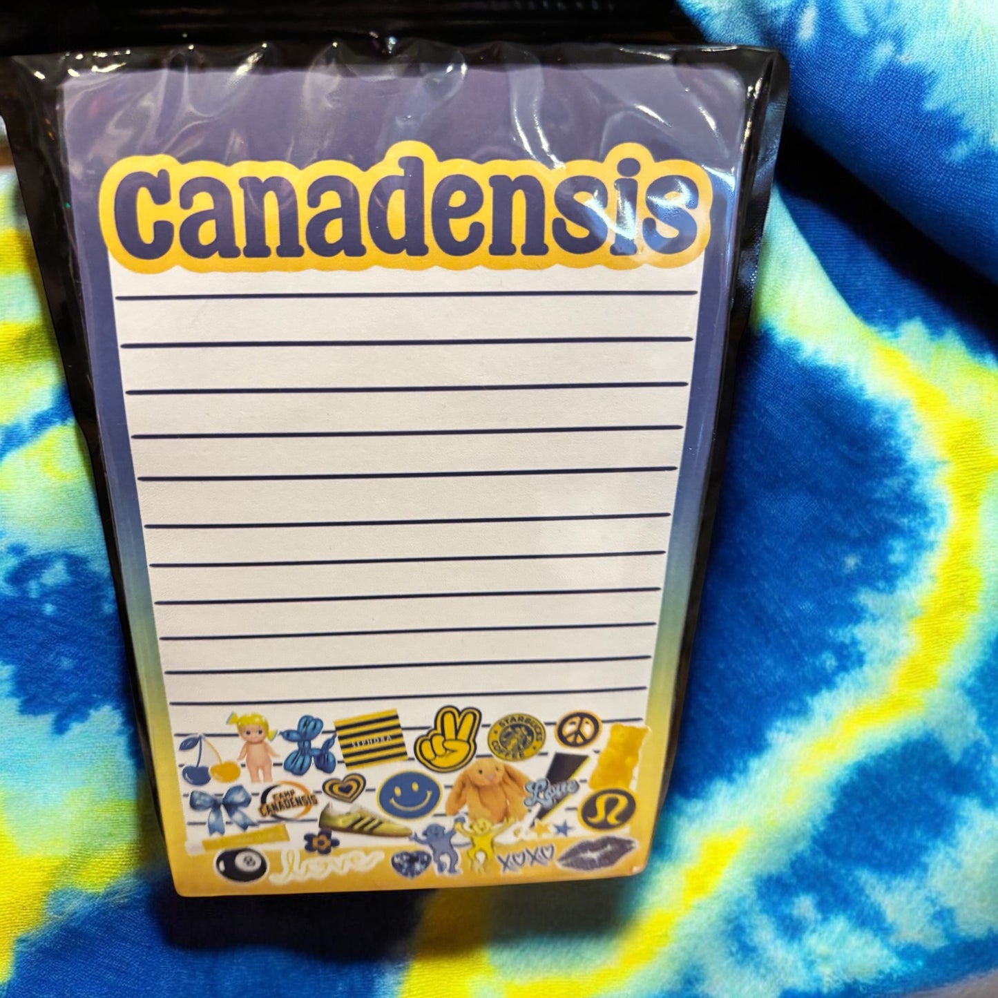 Assorted Stationary for Camp