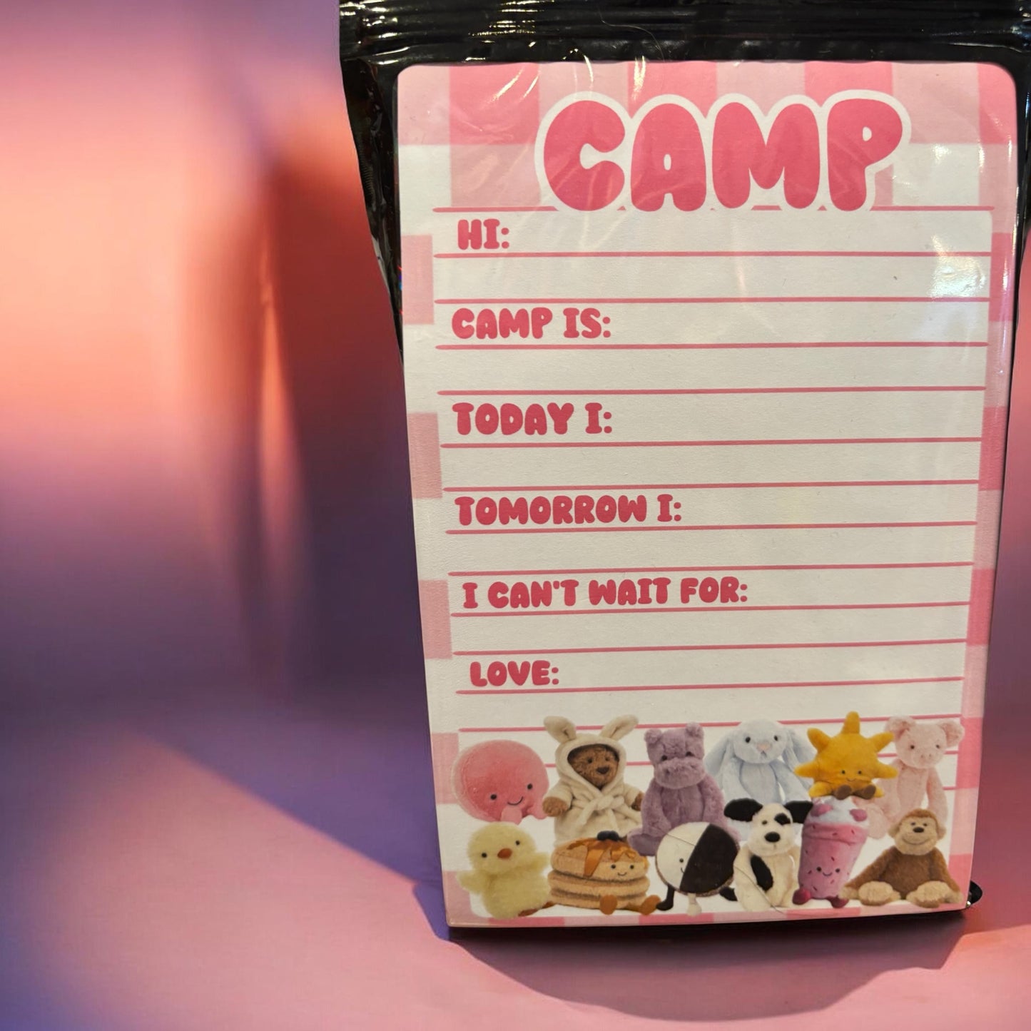 Assorted Stationary for Camp